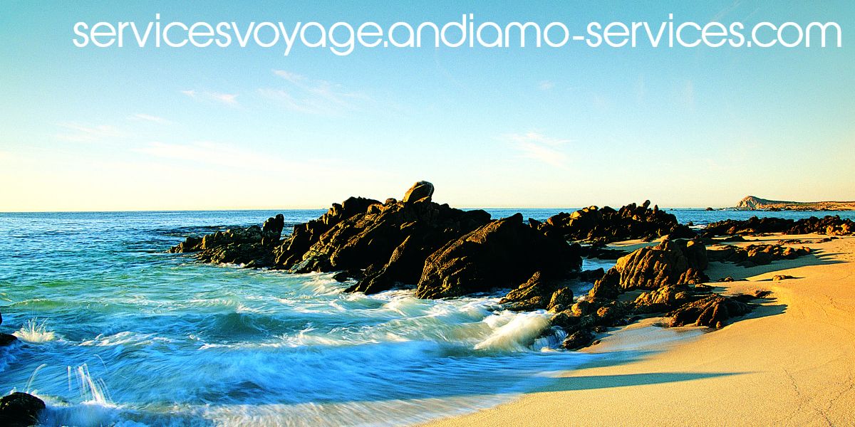 servicesvoyage.andiamo-services.com